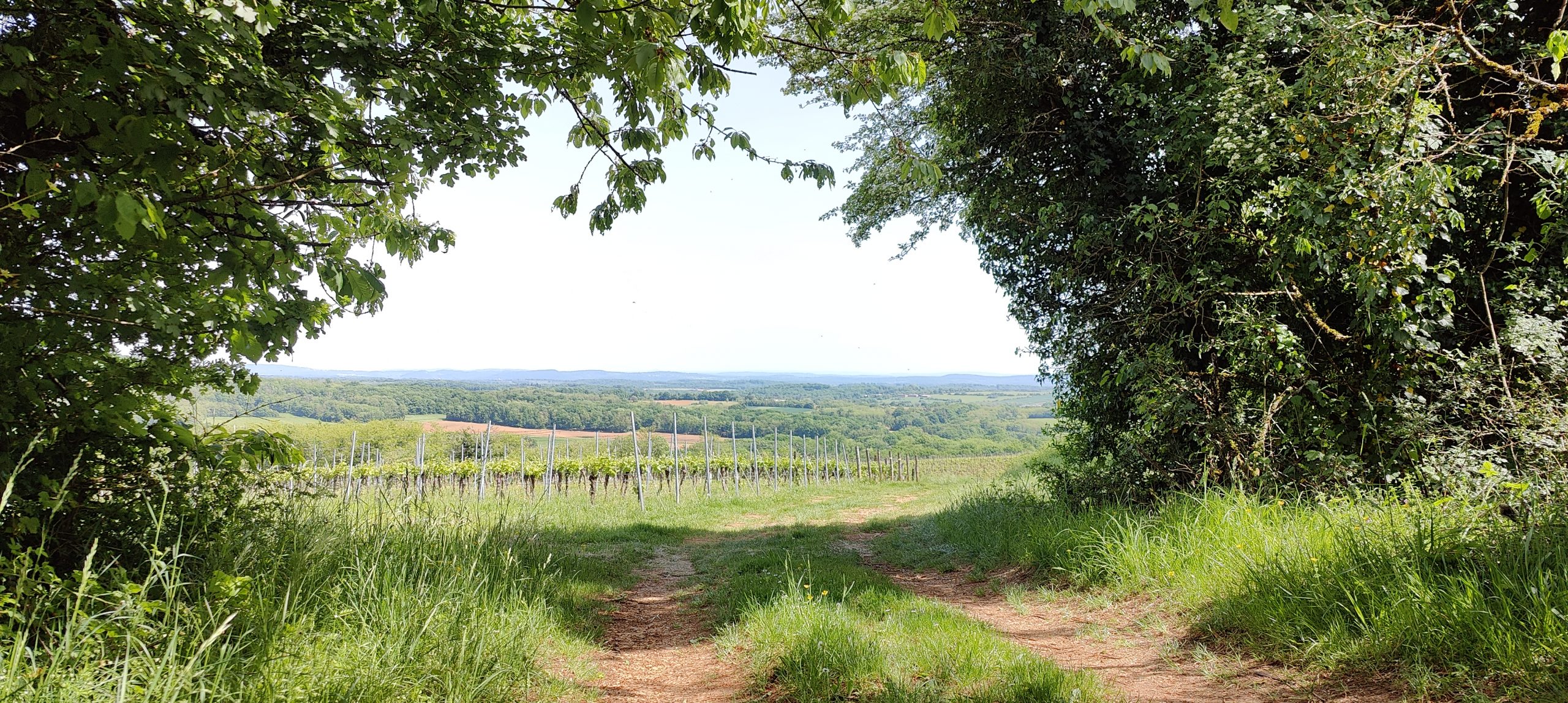 Domaine du Moutherot